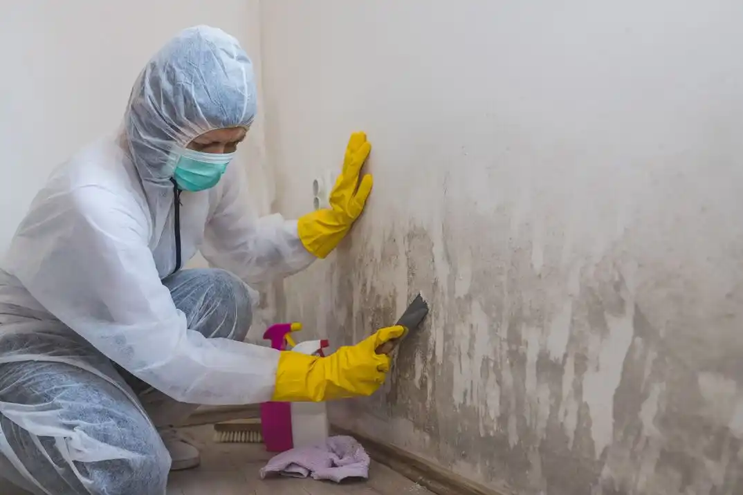 water damage restoration service Butts Station